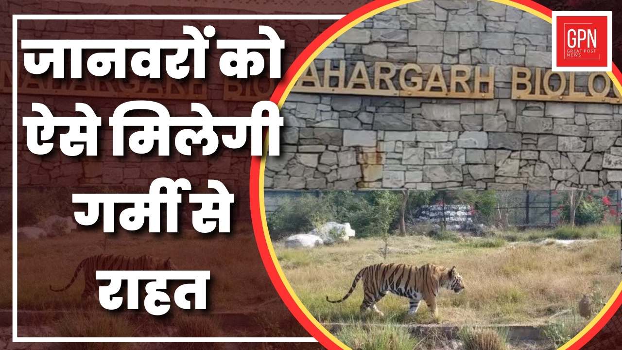 जानवरों को ऐसे मिलेगी गर्मी से राहत  Great Post News