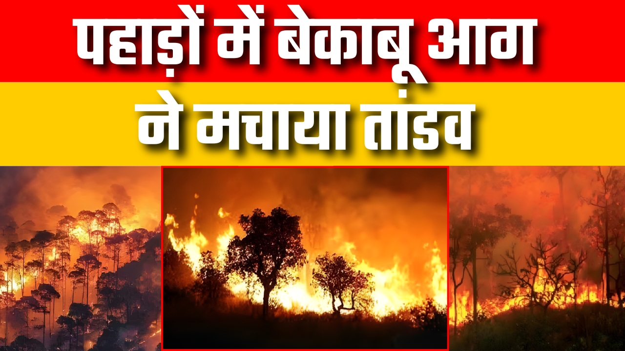 पहाड़ों में बेकाबू आग ने मचाया तांडव |Great Post news
