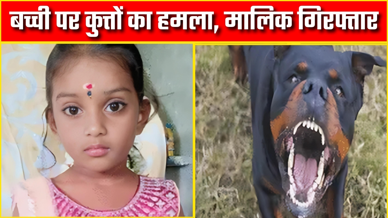 बच्ची पर कुत्तों का हमला, मालिक गिरफ्तार |Great Post News