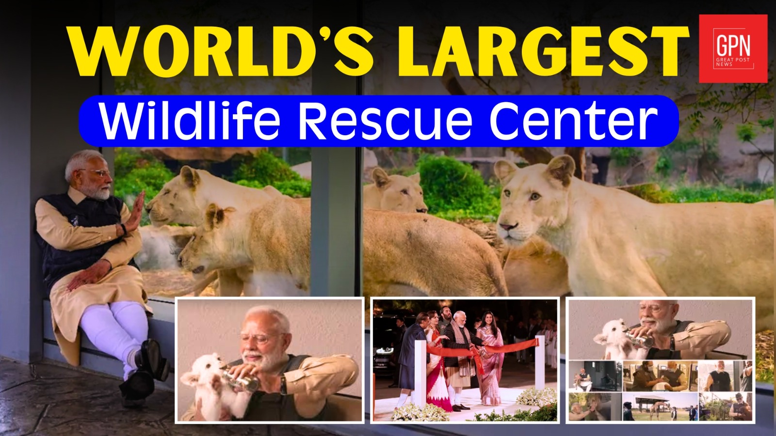 दुनिया के सबसे बड़े वन्यजीव बचाव केंद्र ‘वनतारा’ में क्या है खास || Great Post News