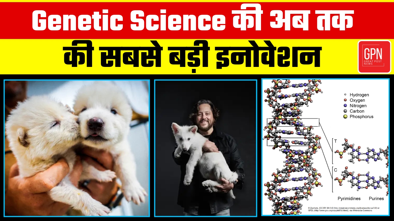 Game Of Thrones का DireWolf अब हकीकत में , 10 हजार साल पहले का जीव..... अब धरती पर | Great Post News