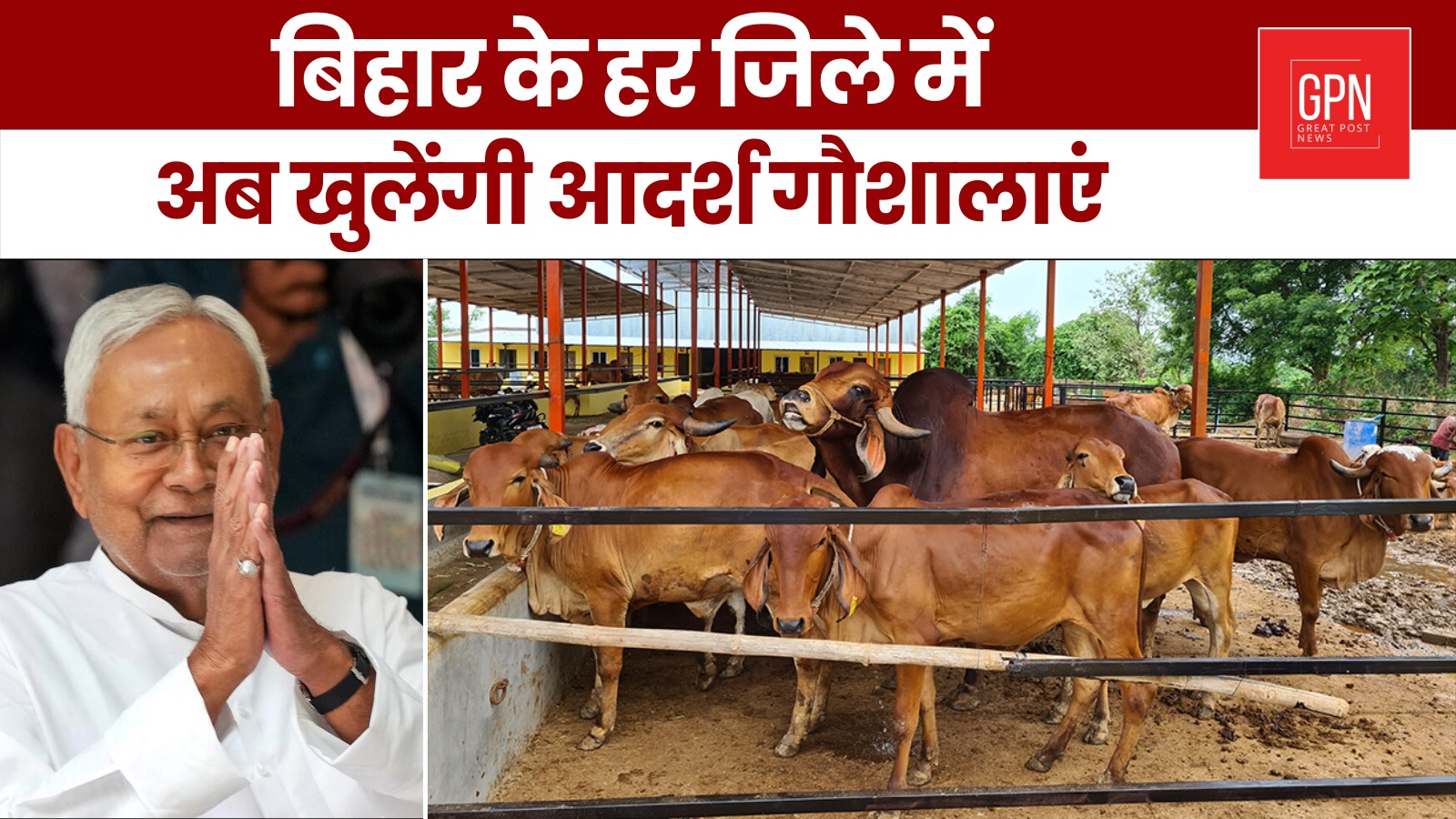 बिहार के हर जिले में अब खुलेंगी आदर्श गौशालाएं || Great Post News